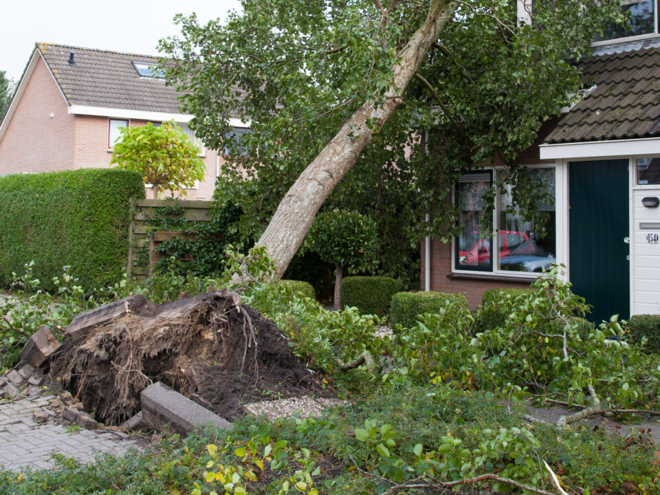 How Do You Deal with Storm Damage Claims